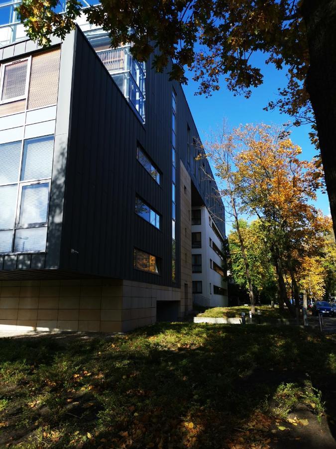 317 W Royal Tuli Prywatny Przy Plazy Z Aneksem Kuchennym Apartament